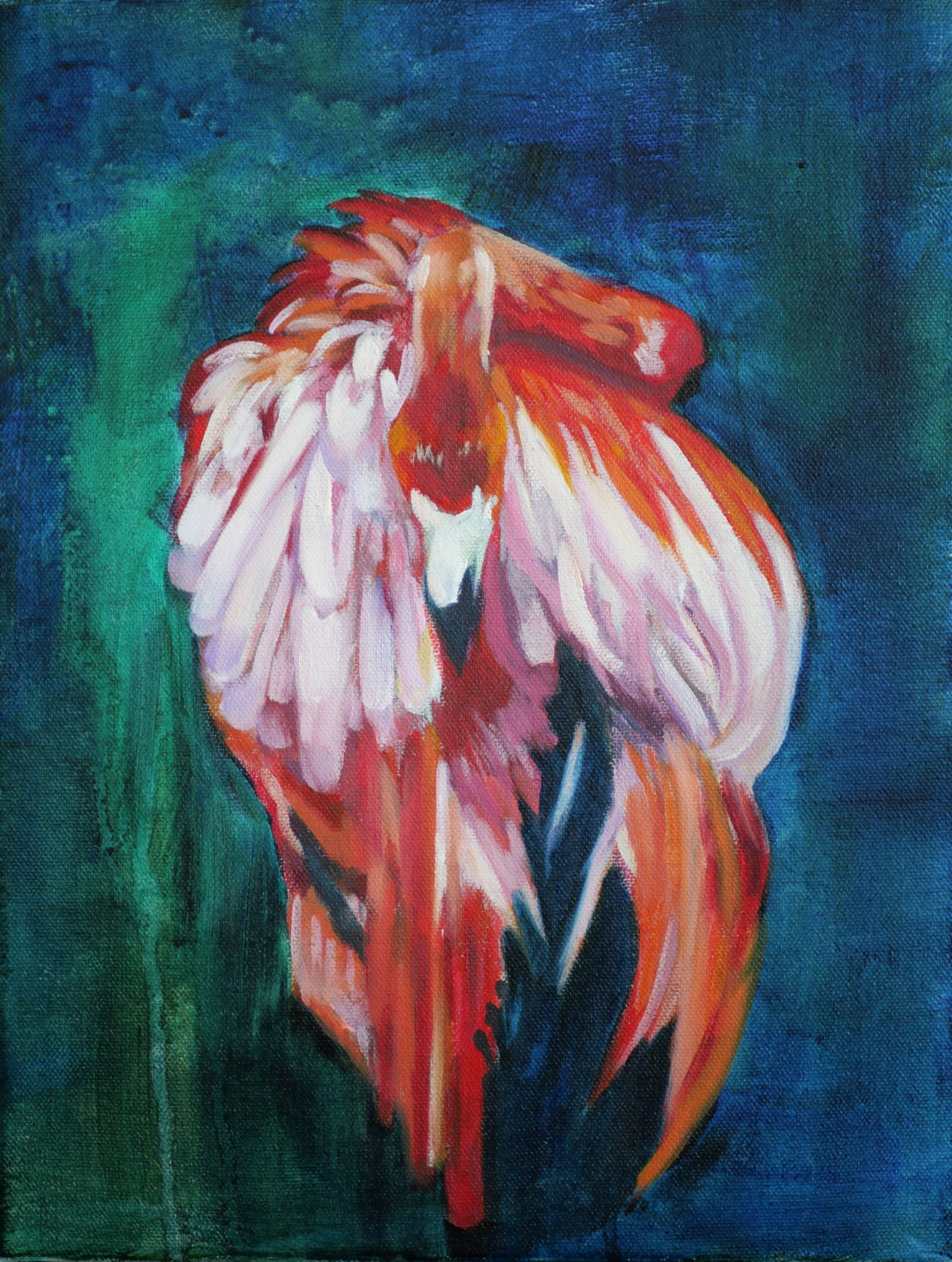 Flamingo